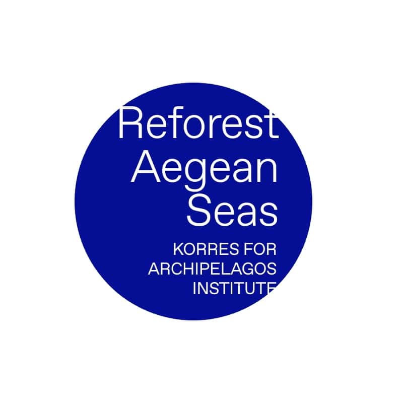 KORRES Κόκκινο Σταφύλι Αντηλιακή Κρέμα Προσώπου με Διάφανη Λάμψη SPF 50 50ml - Εικόνα 6