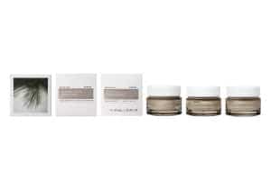 KORRES ΜΑΥΡΗ ΠΕΥΚΗ 4D Κρέμα Νύχτας για Σύσφιγξη + Lifting 40ml - Εικόνα 5