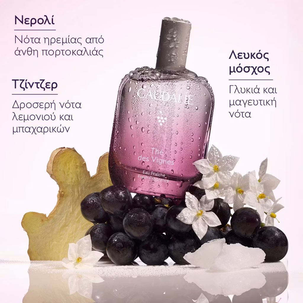 Caudalie Thé des Vignes Fresh Fragrance - 50ml