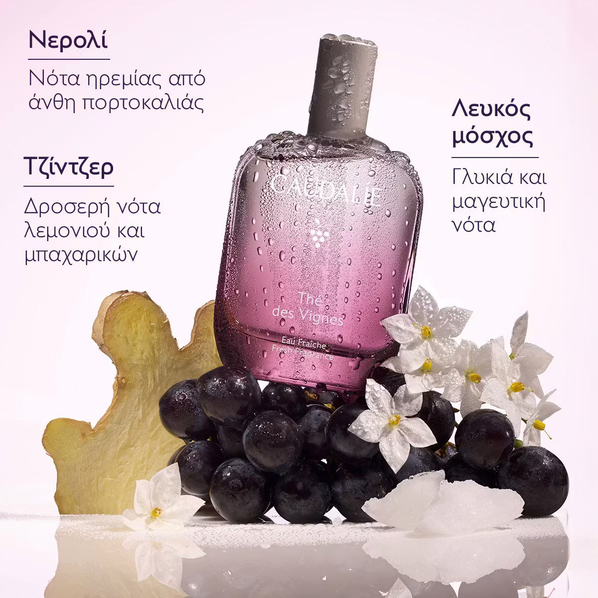 Caudalie Thé des Vignes Fresh Fragrance - 50ml - Εικόνα 2
